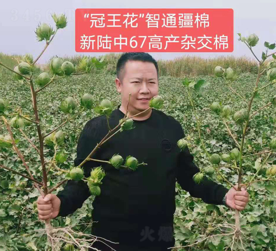 �����67�߮a�ޡ�Ч���D��-���SԪ