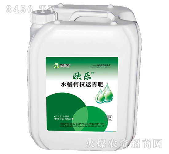 水稻柯杈返青肥-歐樂-世源光合