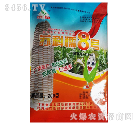 蘇科糯8號-玉米種子-高科種業(yè)