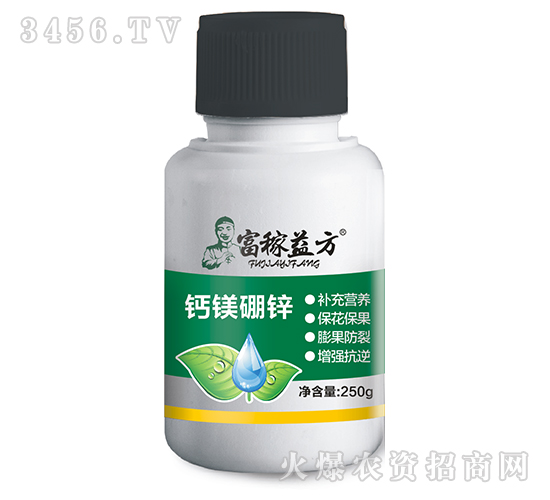 �}�V���\-�����淽-�Gʿ��