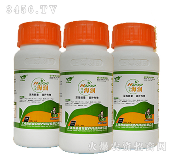 ��������-����