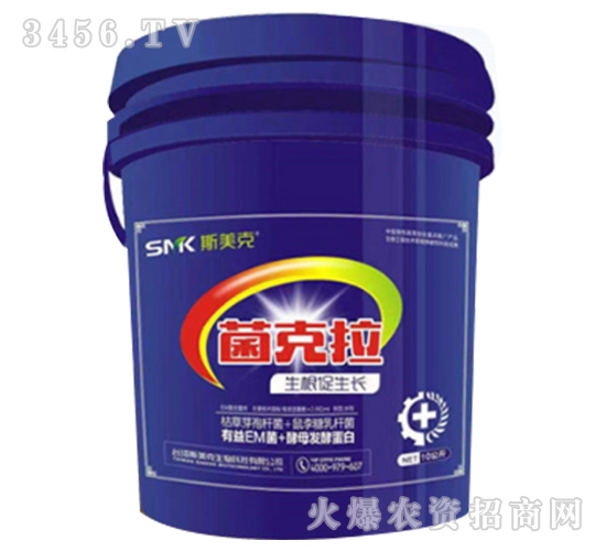 ������-˹����