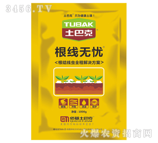 �����o�n-���Ϳ�-�S��