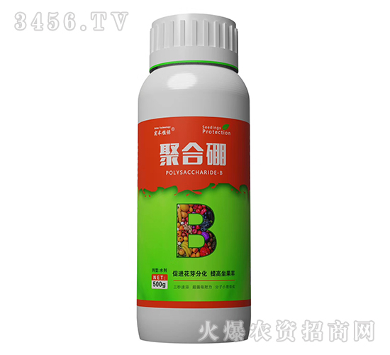 �ۺ���-��(sh��)��ֲ��