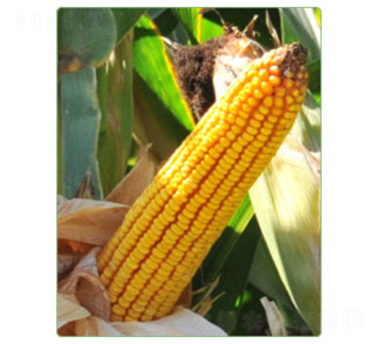 ����59̖-���׷N��-�A���N�I(y��)