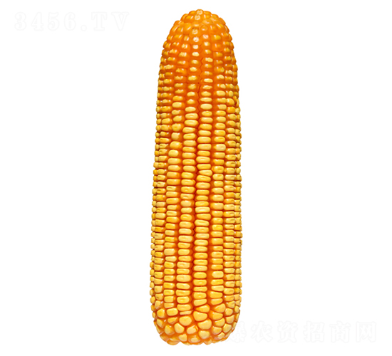 �F��39-���׷N��-�F�зN�I(y��)