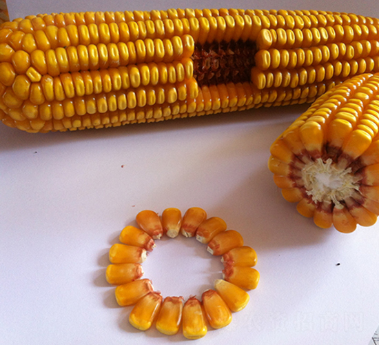 �F��919-���׷N��-�F�зN�I(y��)