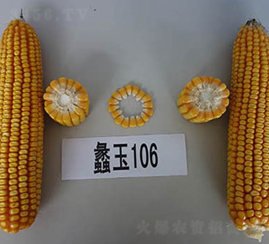 ���106-���׷N��-���