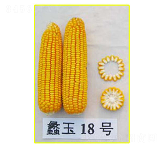 ���18̖(h��o)-���׷N��-���