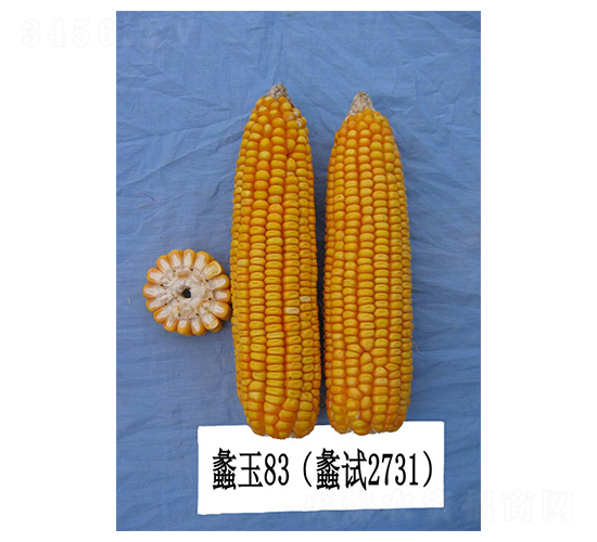 ���83-���׷N��-���