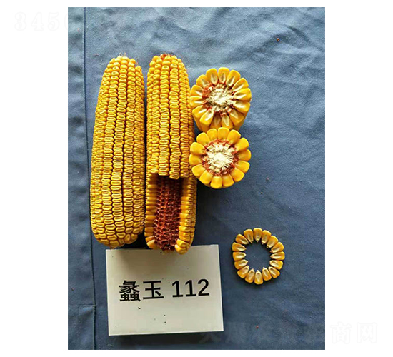 ���112-���׷N��-���