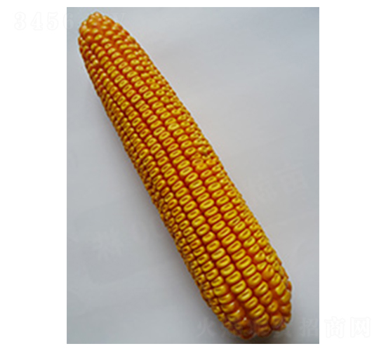 �N�����һ̖-���׷N��-�N�ǷN�I(y��)