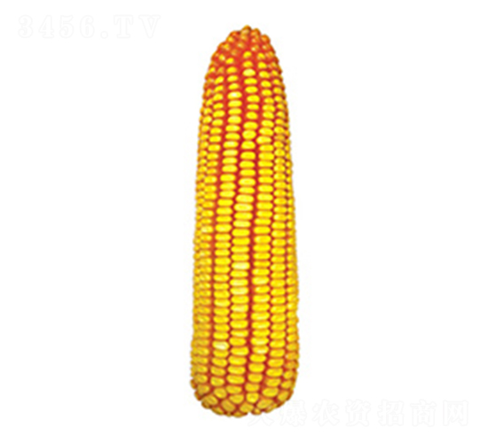 �N��718-���׷N��-�N�ǷN�I(y��)