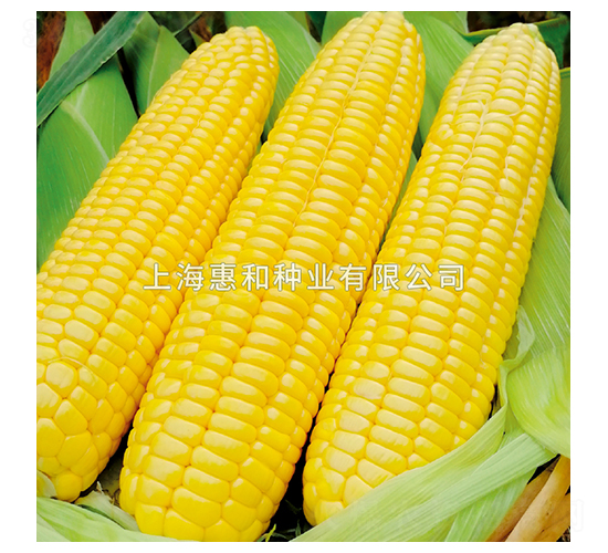 ������̖-���׷N��-�ݺͷN�I(y��)