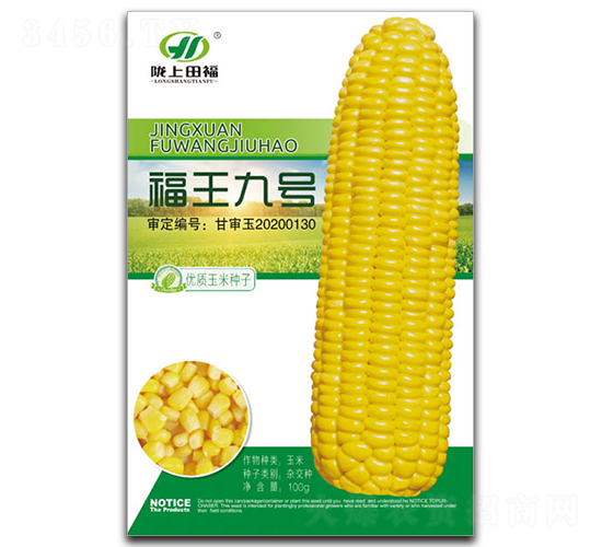 ����9̖(h��o)-���׷N��-�︣�r(n��ng)�I(y��)