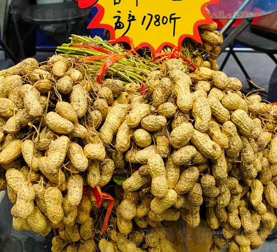 香?；?號花生種子