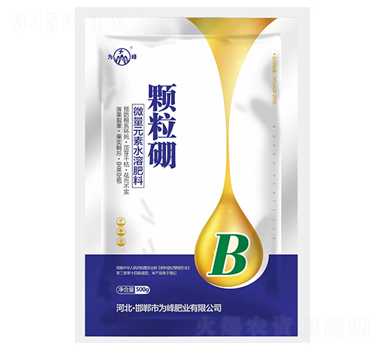 �w����-���ʘI(y��)