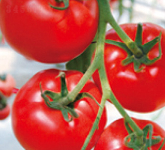 ���o(j��)�tF1-���ѷN��-���A�N�I(y��)