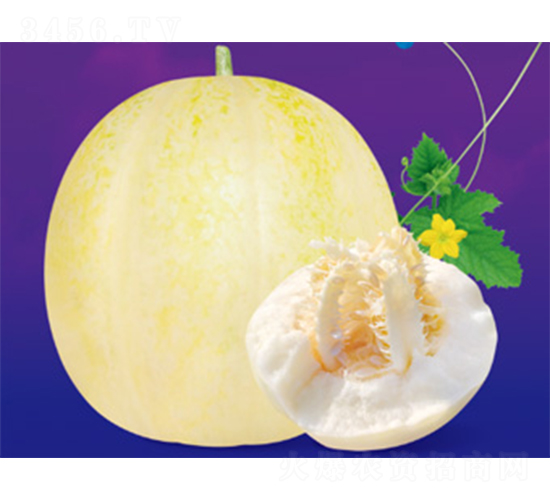 脆香九分-甜瓜種子-澤甜種業(yè)