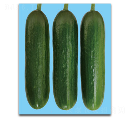 �����_-�S�ϷN��-�S�{�N��