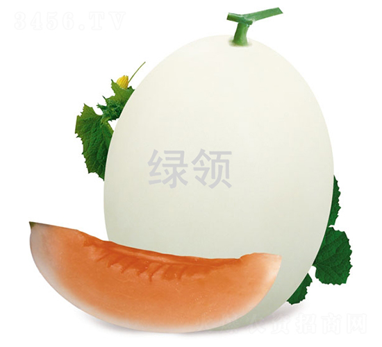 L-1551-��ϷN��-�G�I�N�I(y��)