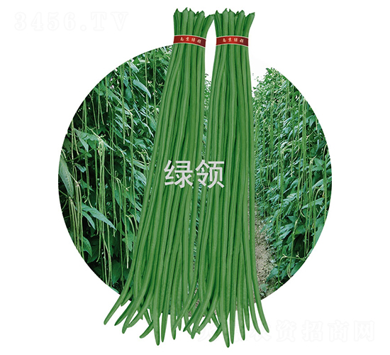 JK23-���ǷN��-�G�I�N�I(y��)