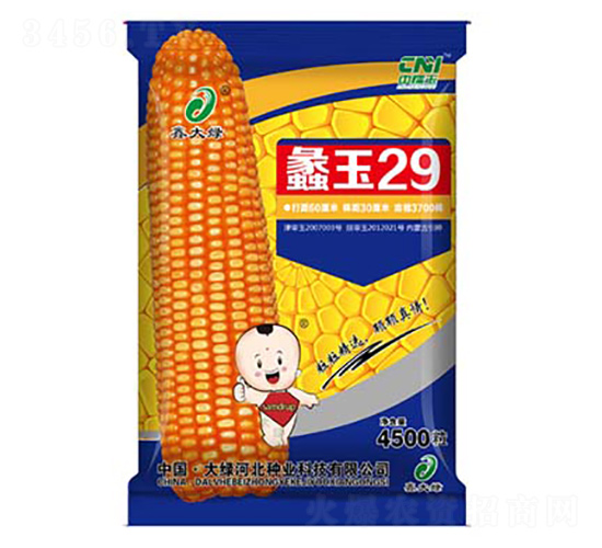 ���29-���׷N��-�δ�G