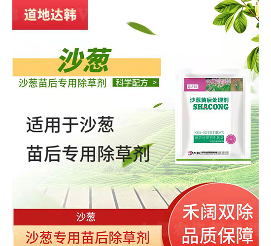 ɳ�[���������݄�-�����_�n