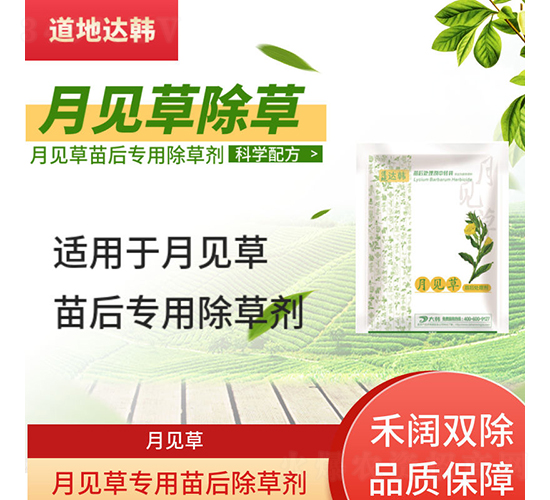 ��Ҋ�݌��������݄�-�����_�n