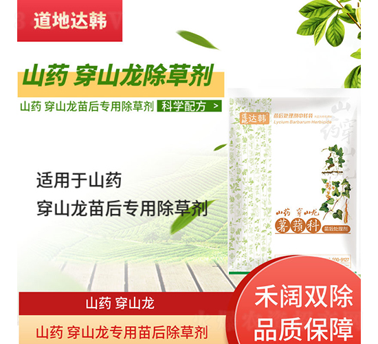 ɽˎ��ɽ����(zhu��n)�������݄�-�����_(d��)�n