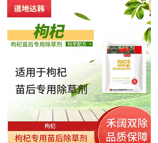 ��轌�(zhu��n)�������݄�-�����_(d��)�n