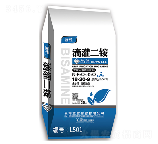 �S�����w���-�{��