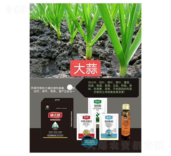 ���砀���M���ײͣ����⌣�ã�-�Ϸ�·-�Z�M��