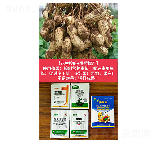 【花生控旺+提質(zhì)增產(chǎn)】-胖滿園-糧滿噸