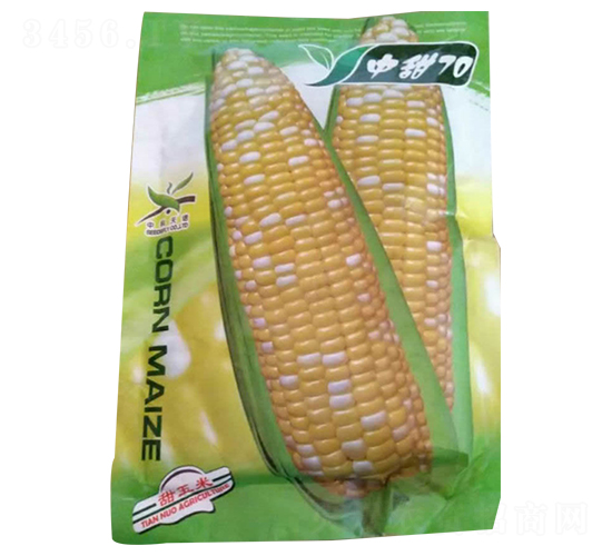 ����70-���׷N��-����N�I(y��)