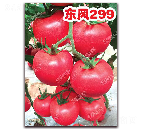 �|�L(f��ng)299-�۹����ѷN��-�ϰľG��