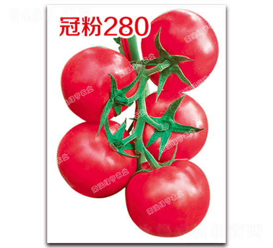 �ڷ�280-�۹����ѷN��-�ϰľG��