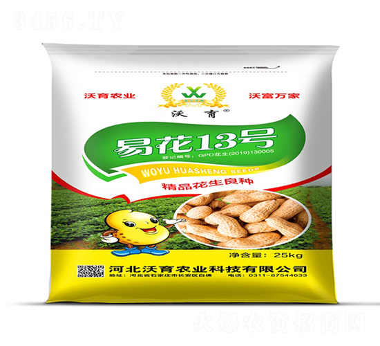 易花13號-花生種子-沃育農(nóng)業(yè)
