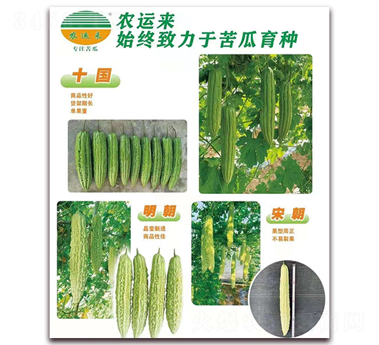 ʮ��+����+�γ�-��ϷN��-�r(n��ng)�\��