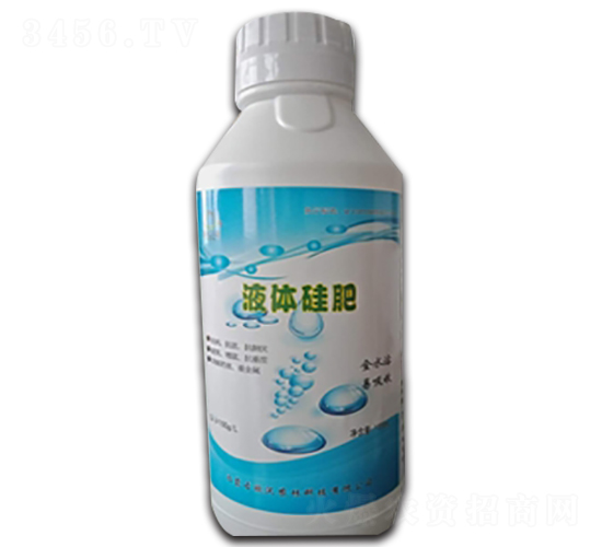 ����Ԫ�ط���-�W��׿