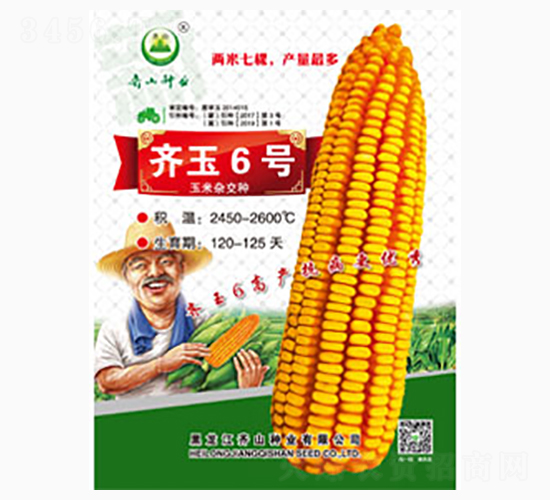 齊玉6號(hào)-齊山種業(yè)
