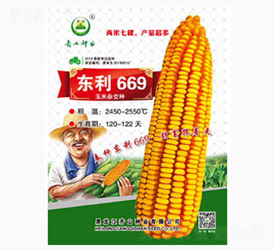 早熟東利669-齊山種業(yè)