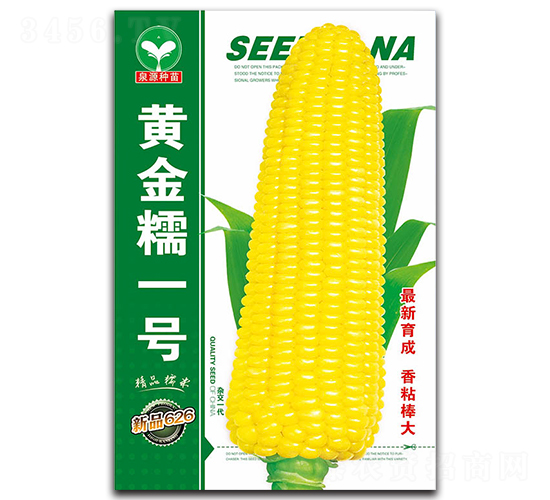 黃金糯一號(hào)-玉米種子-泉源