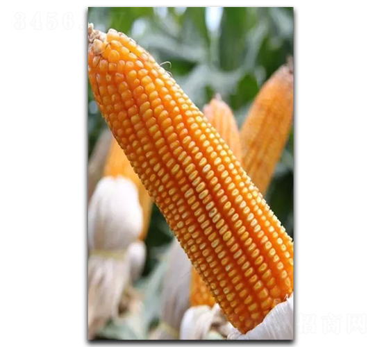 ¡�S7889-���׷N��