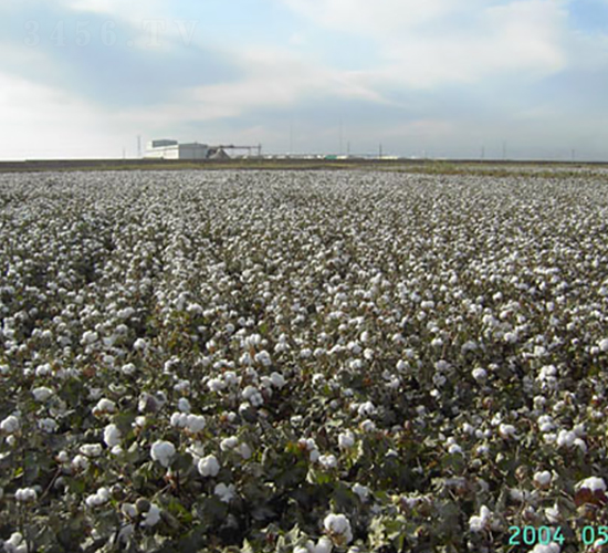 �º�35̖-�޻��N��-��ʥ�̷N�I(y��)