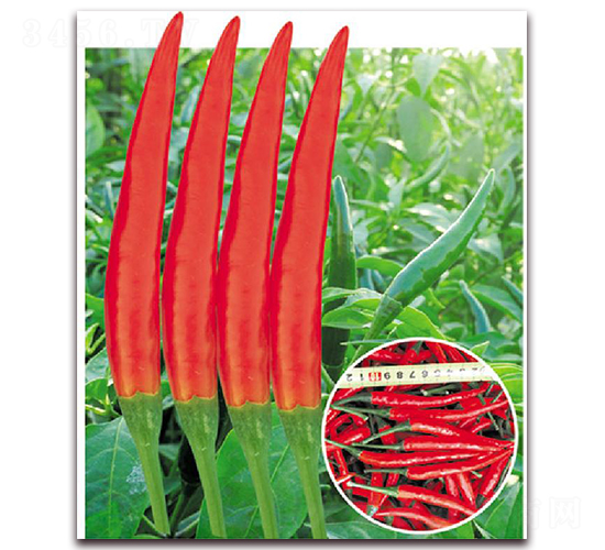 ������-�����N��-�|������