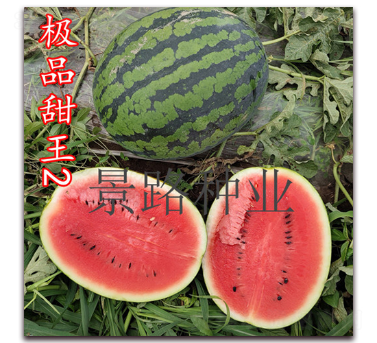 �OƷ����2̖-�����ϷN��-��·�N�I(y��)