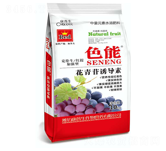 �������T����-ɫ��-������