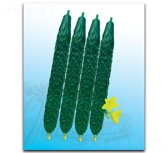 �ď�(qi��ng)56�S��-�S�ϷN��-����N�I(y��)