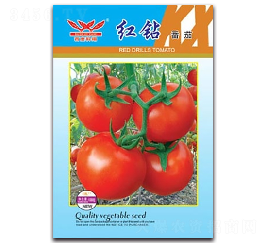 �t�@����-���ѷN��-����N�I(y��)